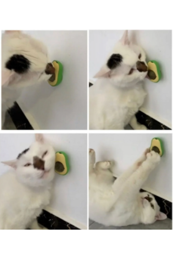 Sevimli Yapışkanlı Kedi Çimi Avokado Catnip | Avokado Kedi Çimi Topu Avokado Kedi Nanesi Oyuncağı