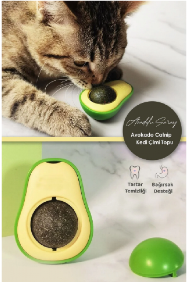 Sevimli Yapışkanlı Kedi Çimi Avokado Catnip | Avokado Kedi Çimi Topu Avokado Kedi Nanesi Oyuncağı